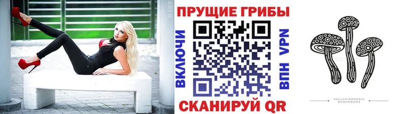 Псилоцибиновые грибы GOLDEN TEACHER Тетюши