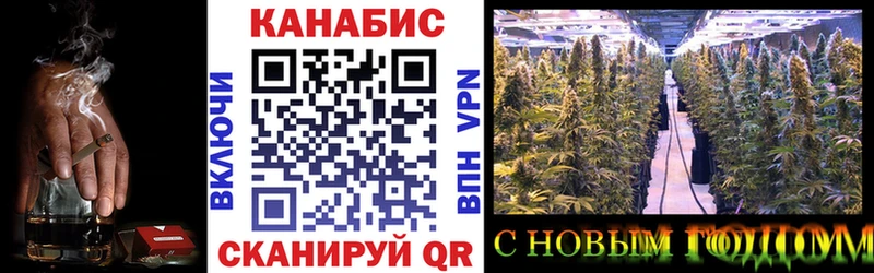 сколько стоит  Тетюши  Бошки Шишки OG Kush 